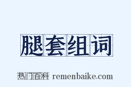 腿套组词是什么意思的图片